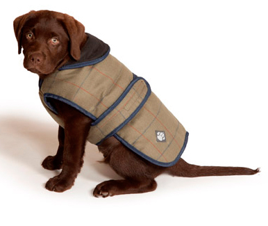 Твидовое пальто для собак